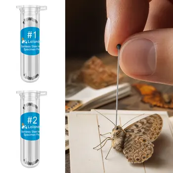 Stainless Steel Entomological Specimen Needles with Protective Storage Box 1