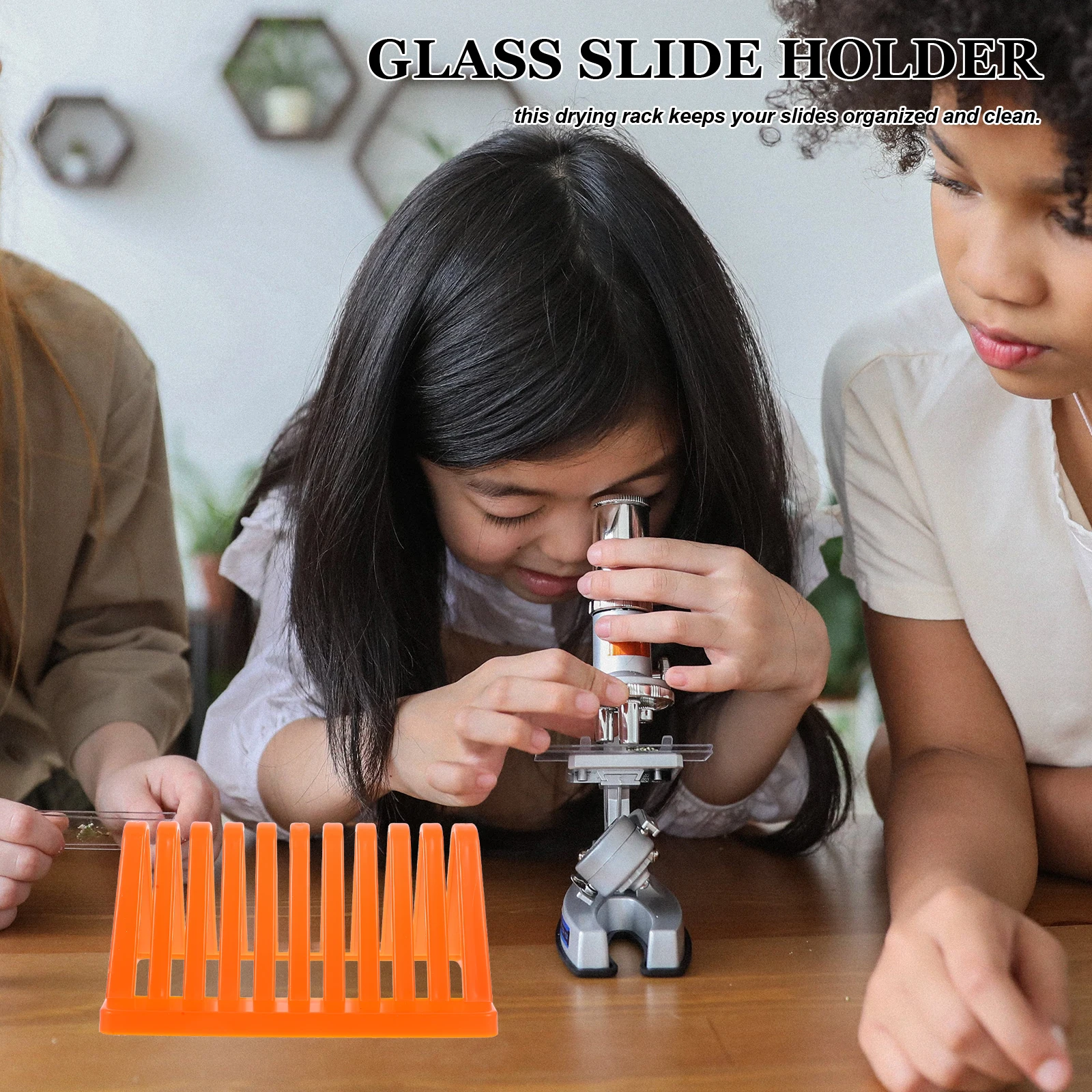 

4pcs Triangle Glass Slide Holder For Laboratory Durable Pp Microscope Slides Staining Rack With Multi-Slot Design, Space-Saving