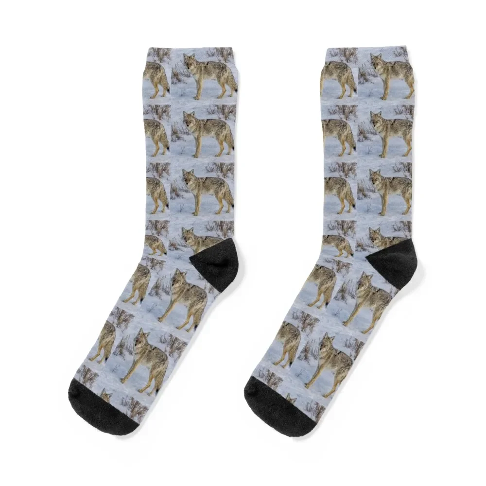 Coyote Socks valentine gift ideas Wholesale sports stockings Toe sports Male Socks Women's