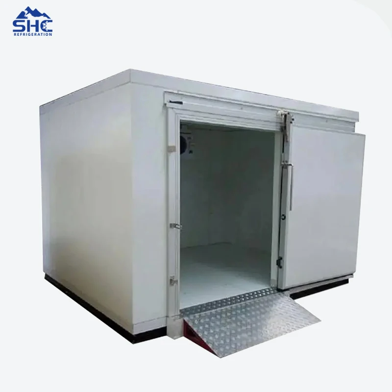 Walk in Freezer Cold Room /Cold Room Storage/Cold Storage Walk-in Cold Storage Cold Storage Project