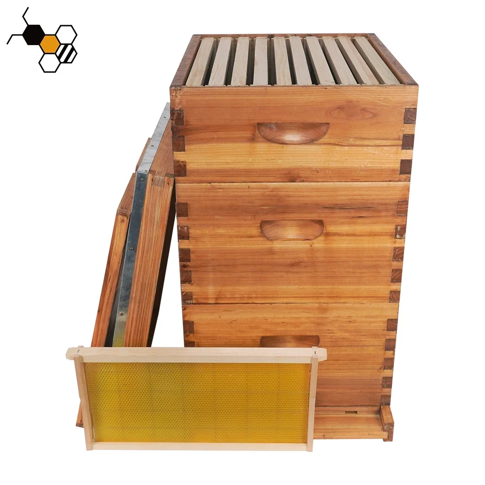 Wooden Beekeeping Equipment-Langstroth Beehive Boxes Caja de Abejas for Animal Husbandry