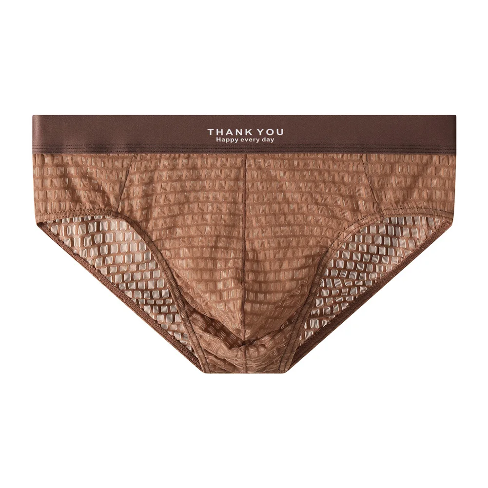 Men Sexy Underwear See Through Panties Mesh Pouch Briefs Low Rise Seamless Lingerie Breathable Sexy Accessories Hot Underpants