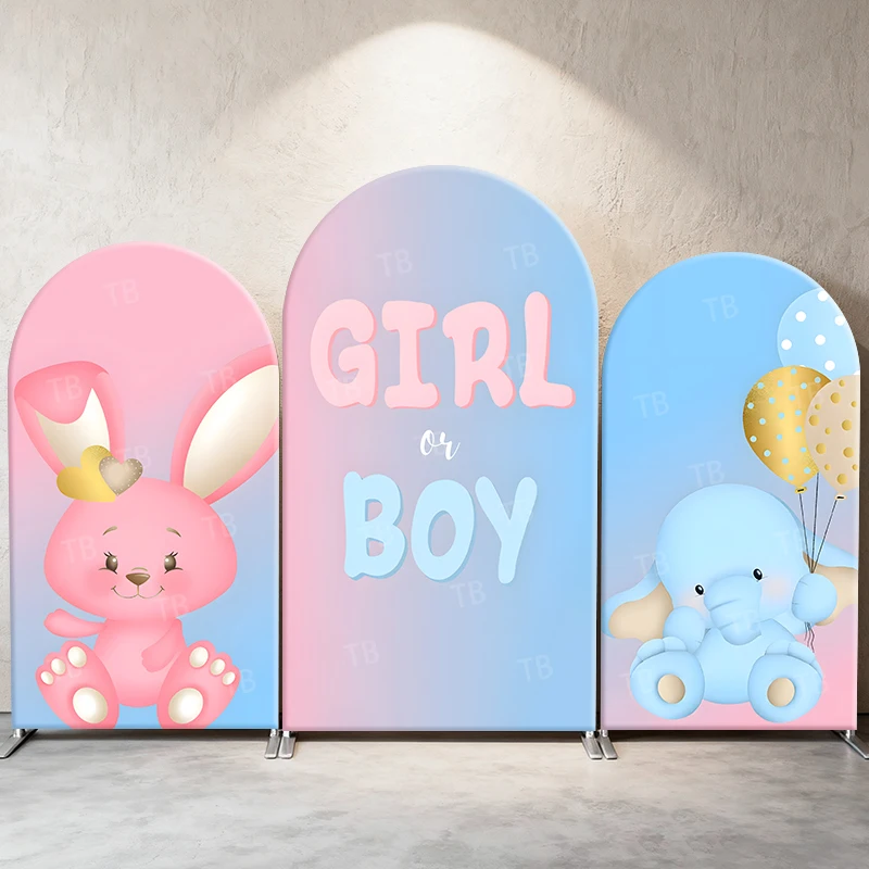 

Gender Reveal Party Arch Backdrop Cover Girl or Boy Theme Decor Photo Booth Background Baby Shower Supplies