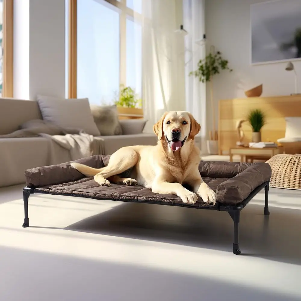 

Elevated Dog Bed with Removable Waterproof Bolster and Cushion, Raised Pet Cot, Breathable Mesh, Non-Slip Base, Suitable for Ind
