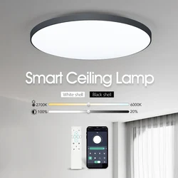 Smart Waterproof Ceiling Light APP Remote Control Dimming Home Indoor Decoration LED Light Timing WIFI Bluetooth Bathroom