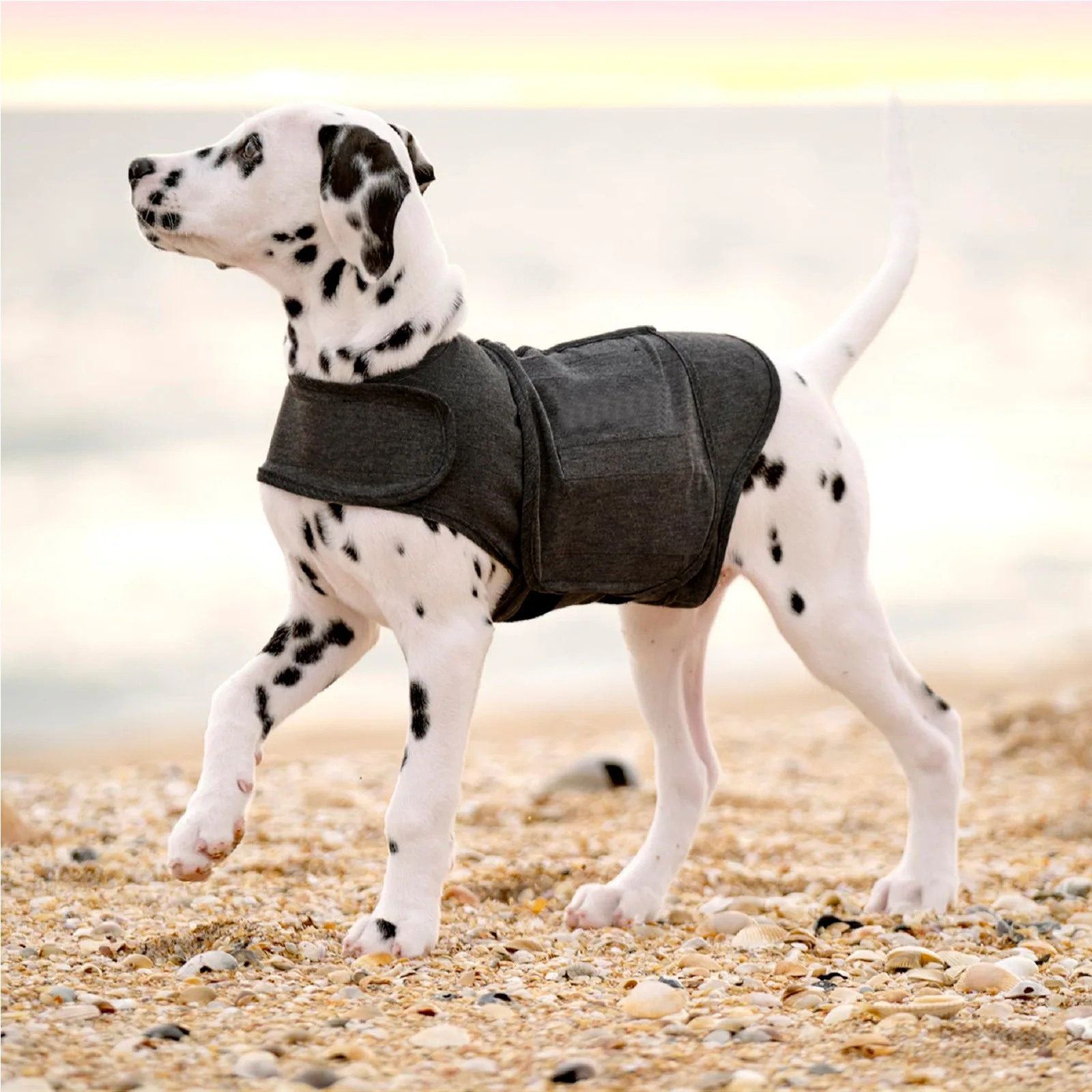 Large Big Small Medium Pet XS-XL Dog Puppy Winter Outdoor Dress Thunder Stress Anxiety Soft Vest Clothes Shirt Jacket Suit