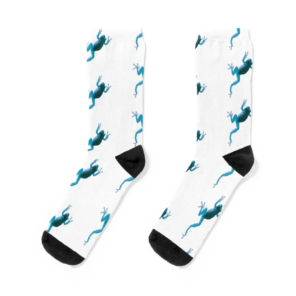 

Blue Frog Climbing Socks sheer Wholesale Boy Socks Women's