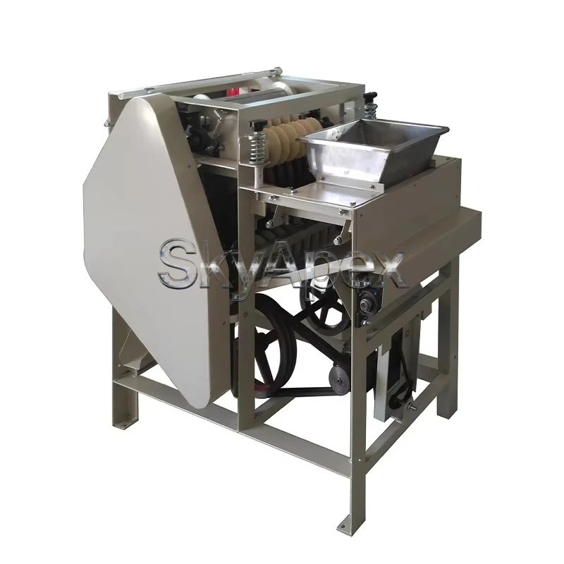 High-efficiency Wet Peeling Machine, 99% Removal Rate, 150kg/h, for Peanut, Almond and Lentil Processing