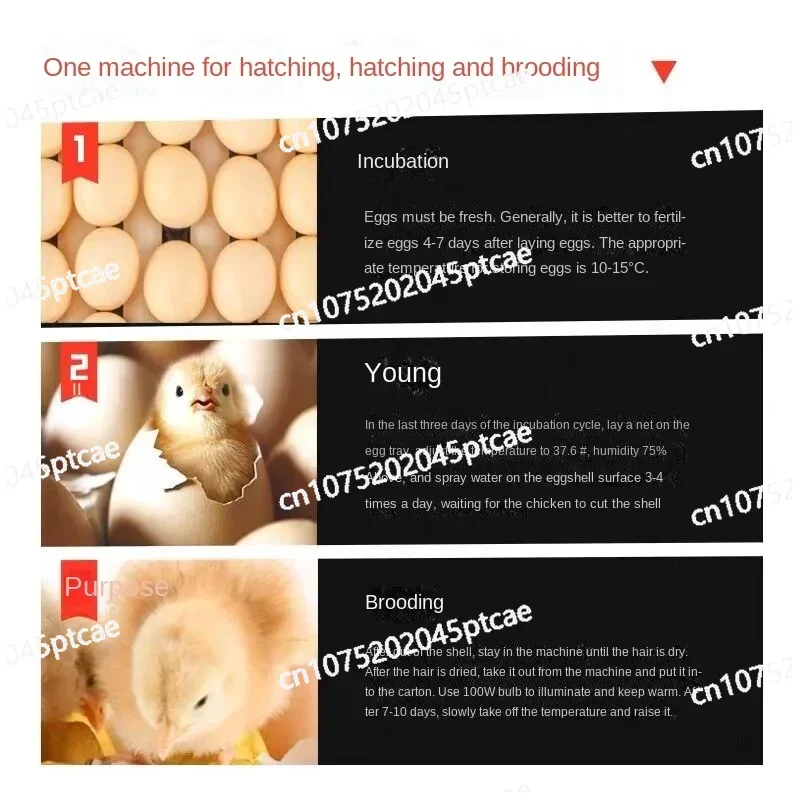 204/136 Eggs Intelligent Large and Medium-Sized Household Full-Automatic Chicken Duck Goose Quail Incubator