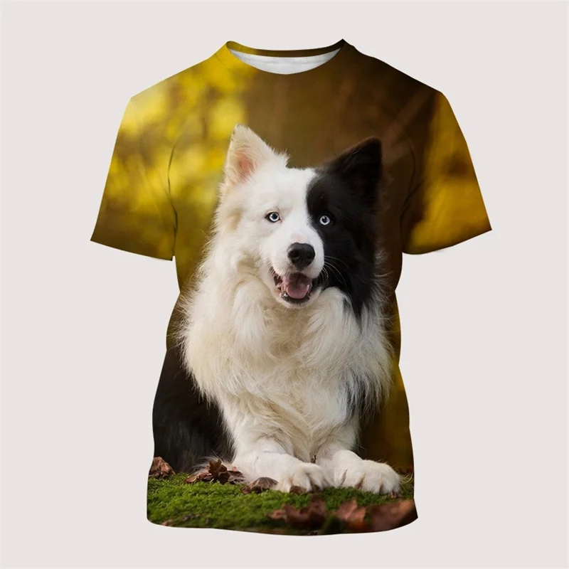 Animal Border Collie Graphic T Shirts Men Casual T-shirt Fashion 3D Printed Street Summer Tee Fashion Harajuku Short Sleeve Tops