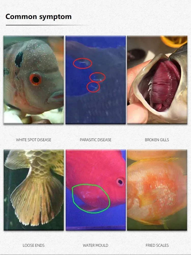 310 مللي الحل الأزرق الميثيلين الأسماك الزينة لإزالة حوض السمك البقع البيضاء وأمراض الأسماك الطب كوي ذهبية بيتا