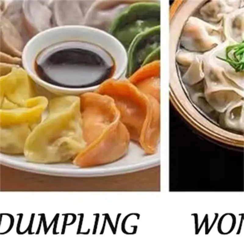 Máquina Automática para Hacer Empanadillas Chinas (Wonton, Jiaozi, Chaos) y Envolturas de Dumplings