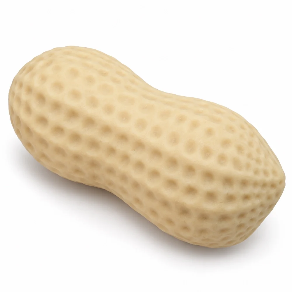 Peanut Squishy Squeeze Toy Beige TPR Food Shape with Textured Shell Soft Desk Fidget Companion Gift for Adults Single Piece