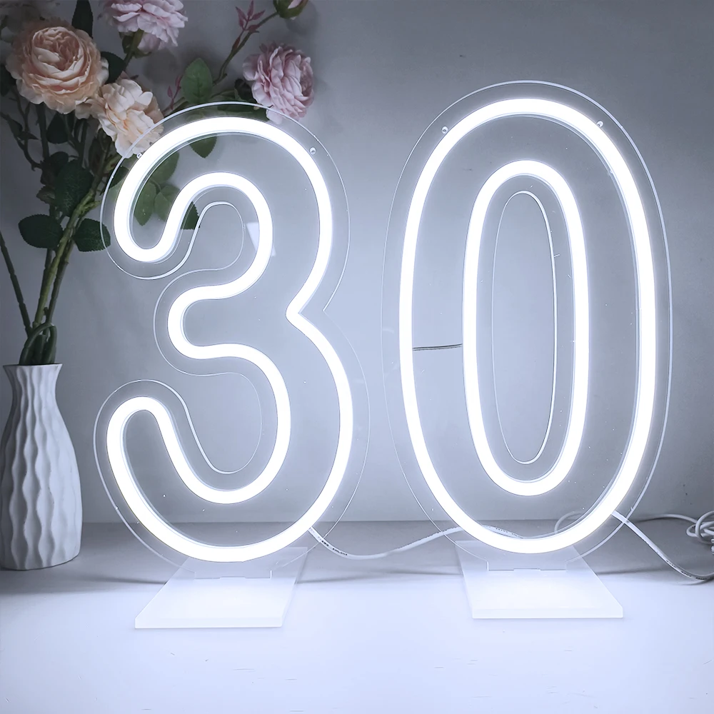 LED Neon 1 2 3 4 5 6 7 8 9 0 Number Sign for Birthday Wedding Party Decor 38 cm High Numbers Led Light Sign Power by USB Powered