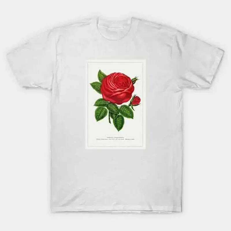 Red rose General Jacquemont Flower Lithograph 1900 T Shirt S 5XL Fast Shippin
