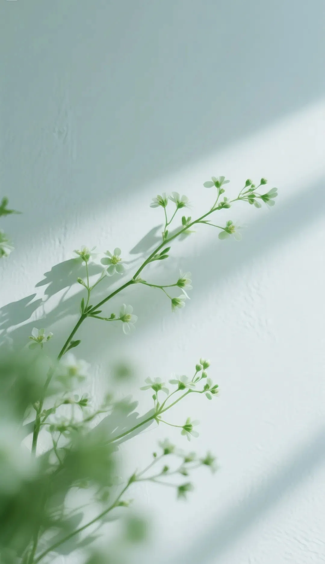 1727 روسيا 1 روبل كاثرين أنا نسخة عملة #1