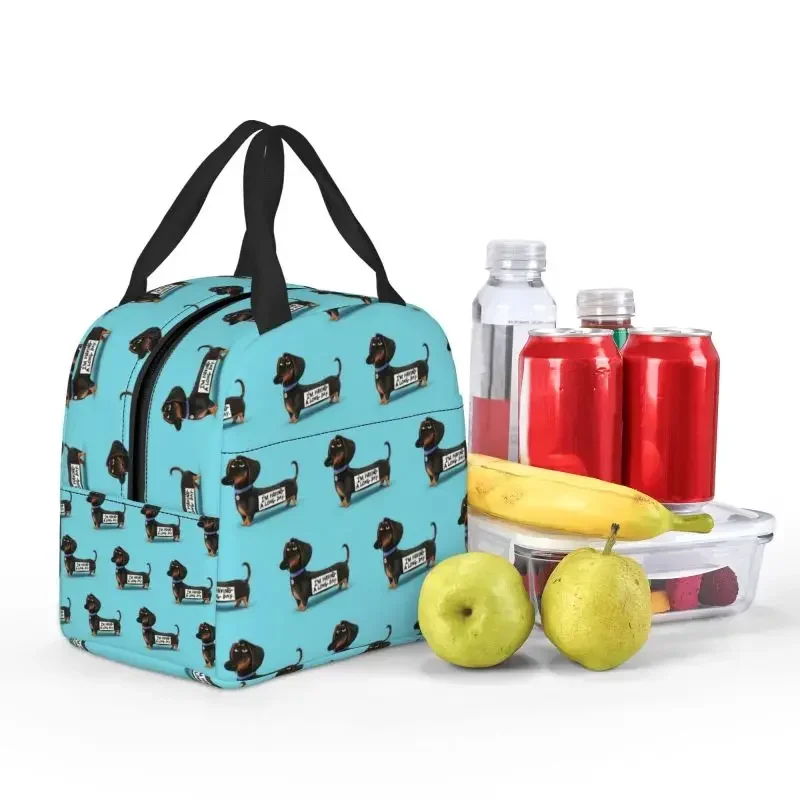 Bolsa de almuerzo con aislamiento para cachorros divertidos de perro salchicha para mujer, refrigerador térmico impermeable para mascotas, fiambrera para playa, Camping, viaje