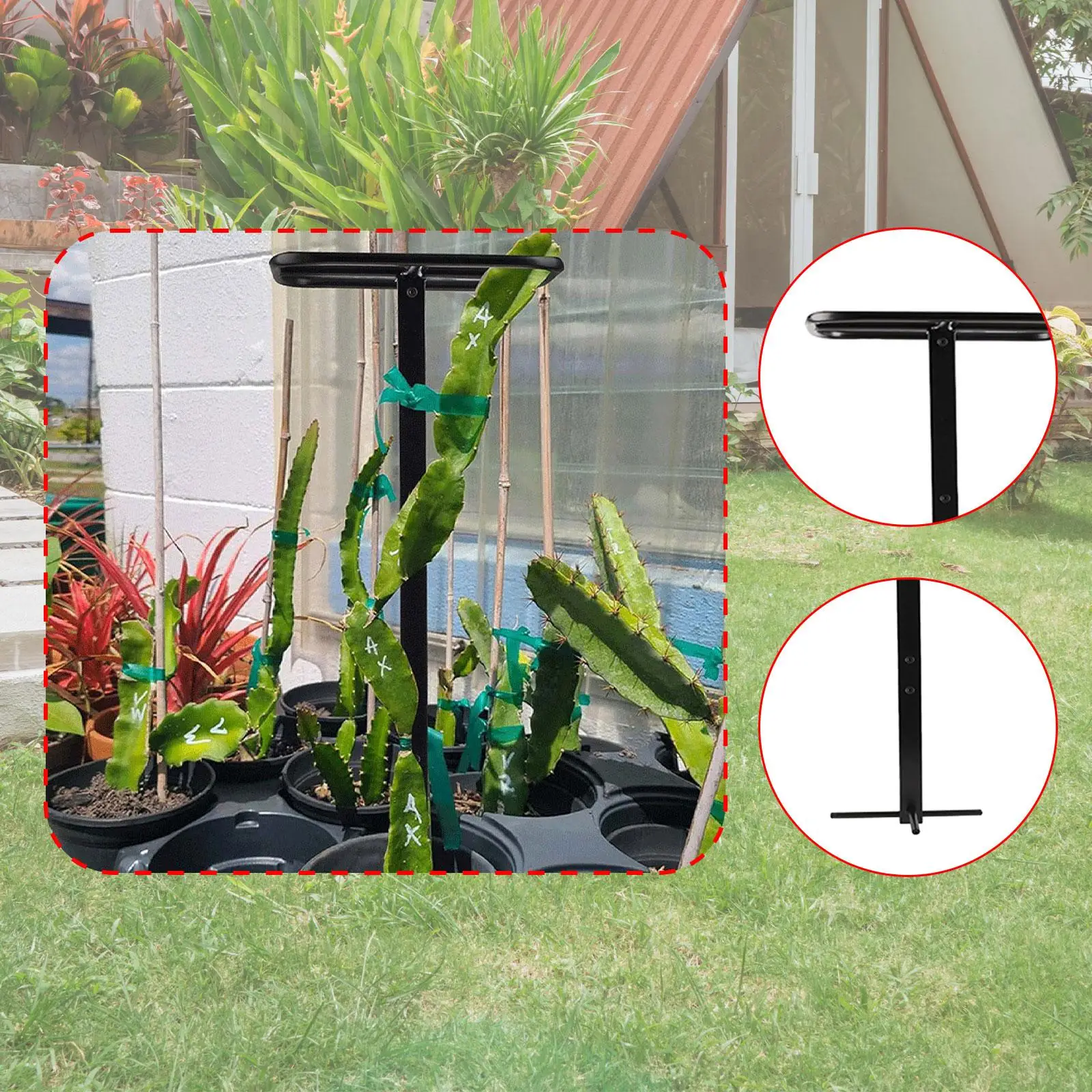 Dragon Fruit Trellis Multipurpose Easy Assembly Plant Trellis for Potted Plants for Balcony Roses Vegetables Courtyard Fruits