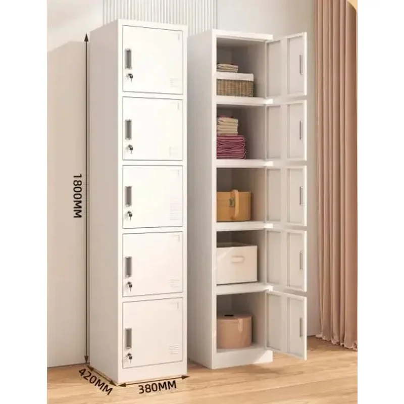 Single Row 5-Door Steel Gym Locker KD Structural Metal Furniture With Clothing Storage Key Lock