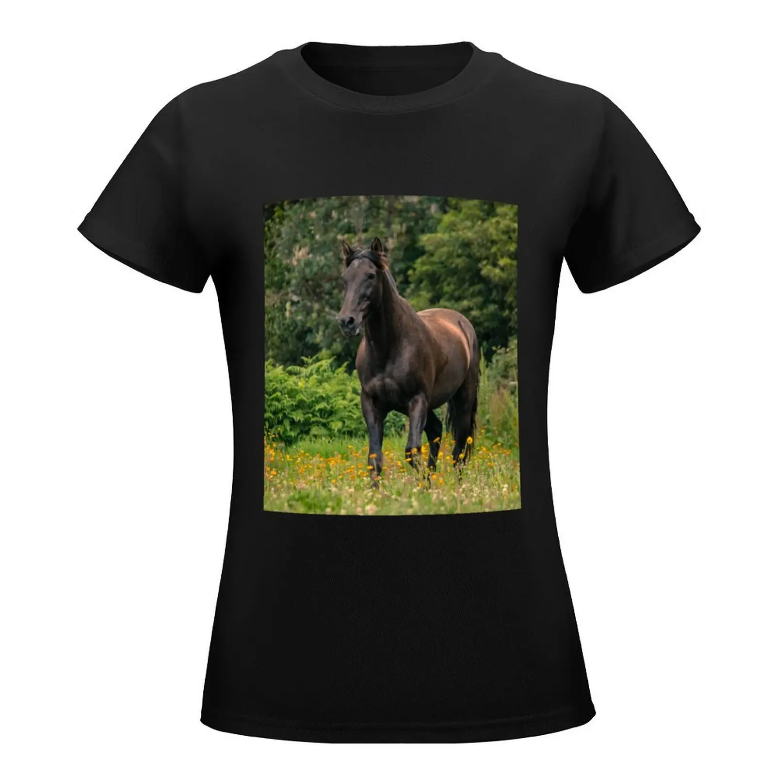 Black fairy tale horse, Lusitano breed, running free outdoors at flower field. T-Shirt Short sleeve tee T-shirts for Women