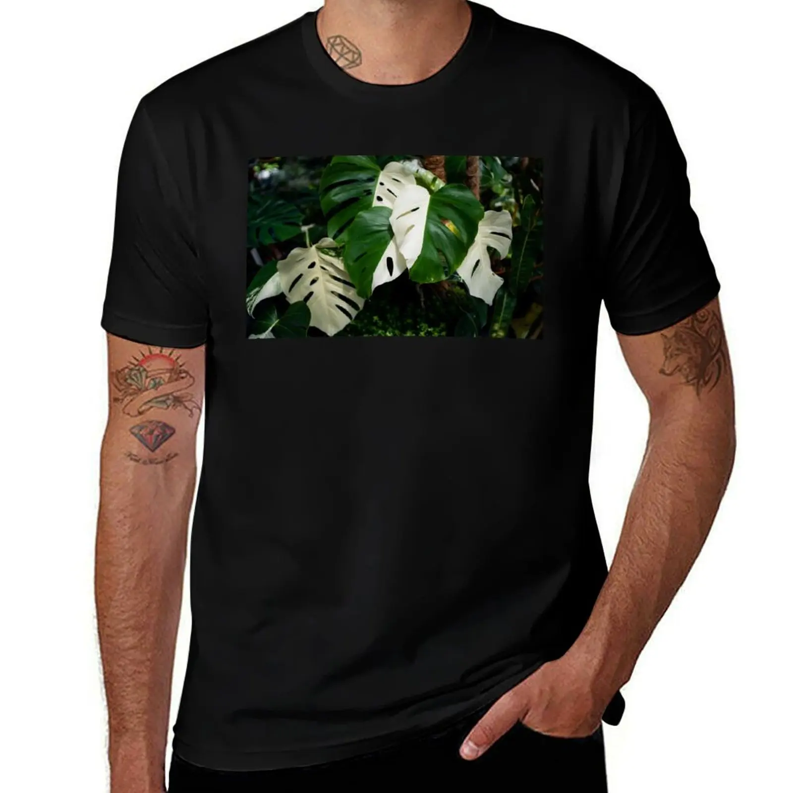 

Monstera Albo half moon leaf variegated borsigiana plant in the garden. T-Shirt man t shirt summer graphic t shirts for man