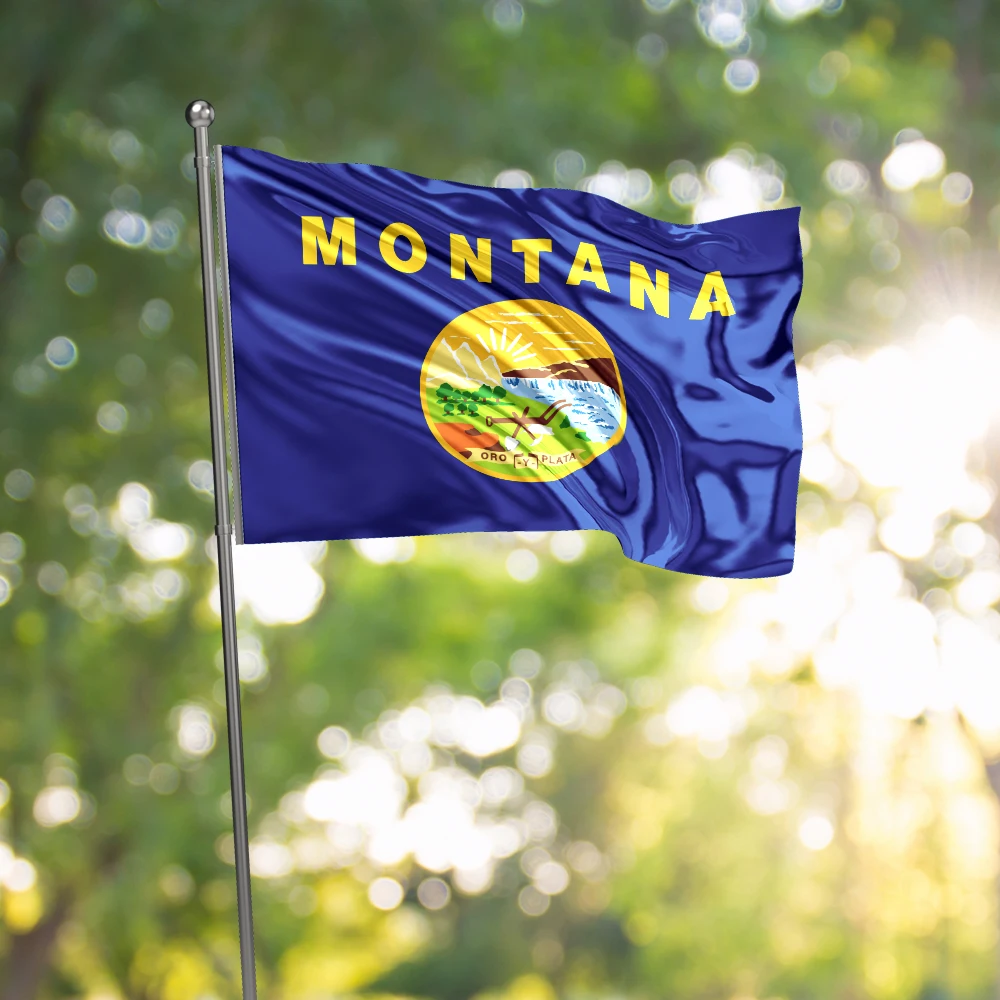3x5 Ft Montana Flag Vivid Color and Fade proof a state of the United States Flags Polyester with Brass Grommets 3 X 5 Ft