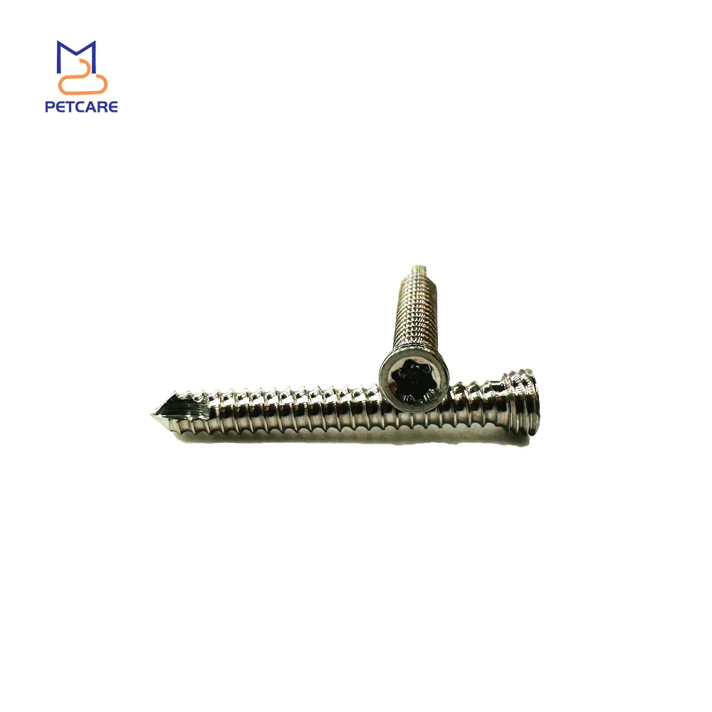 2.4mm SS Self-Tapping Stardrive Locking Screws for Pets, Veterinary, Orthopedics, Surgical Implants, Dog Accessories,Pet Product