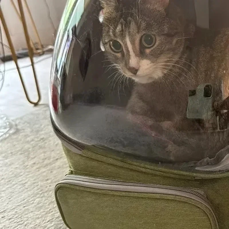 

Прозрачный рюкзак-переноска для домашних животных, идеальные аксессуары для кошек, уличная сумка на плечо для домашних животных, дышащие товары для домашних животных с достаточной вентиляцией