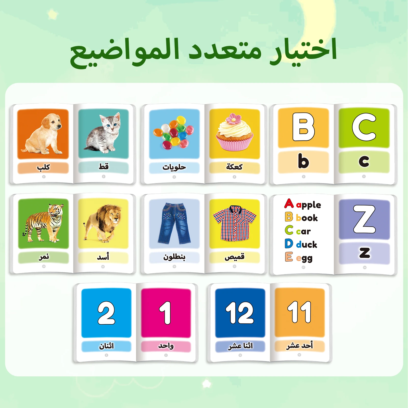 Set of 4 Arabic Children's Learning Books: Letters, Numbers, Words, Animals, Ages 2-5, Baby's First Book Gift, Early Education