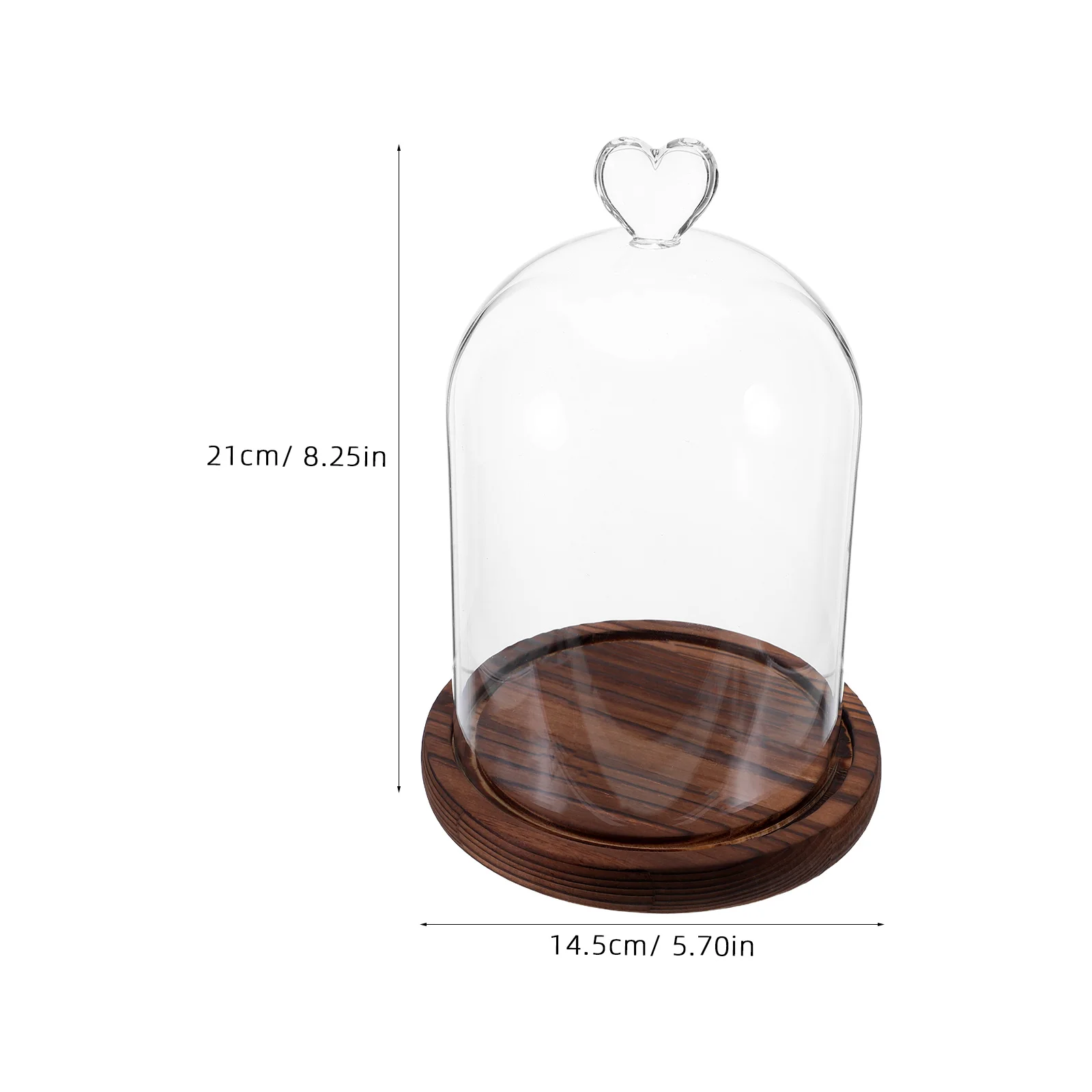 قبة زجاجية مزخرفة، قبة شفافة ممتازة لمقتنيات DIY، زهور أبدية، قطع مركزية لعيد الميلاد، عرض المكتب المنزلي #6