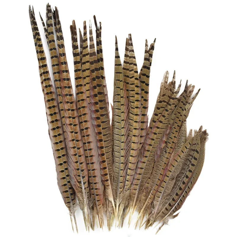 Natural Ringneck Pheasant Feathers for Crafts on The Head Extensions 10-75cm/4-30