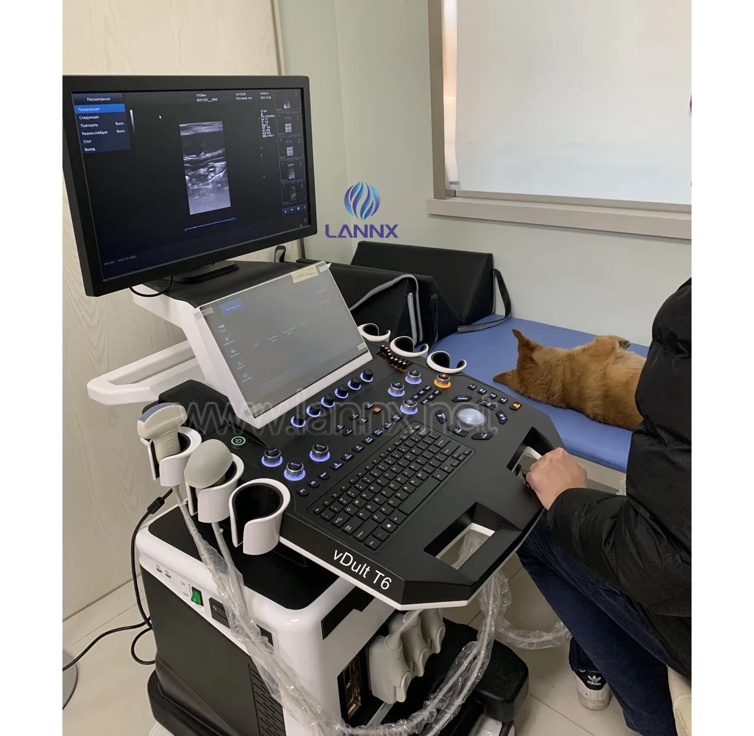 LANNX VDult T6 Animal Clinical Abdomen Color Ultrasonic Scanner Trolley Professional Pet Hospital Veterinary Ultrasound Machine