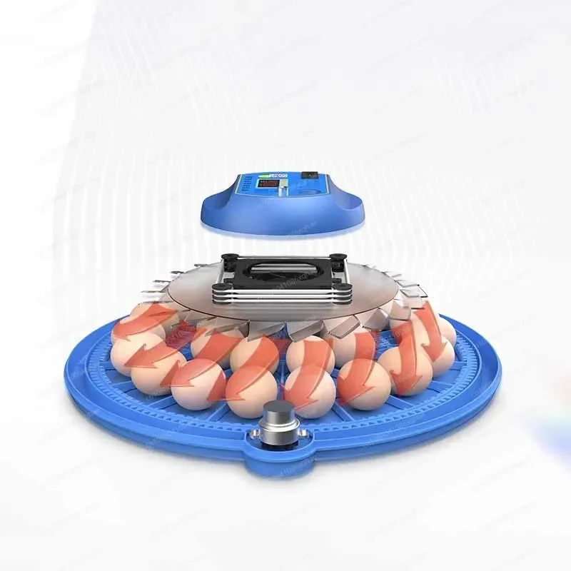 

Household automatic water supply chicken and pigeon egg incubator