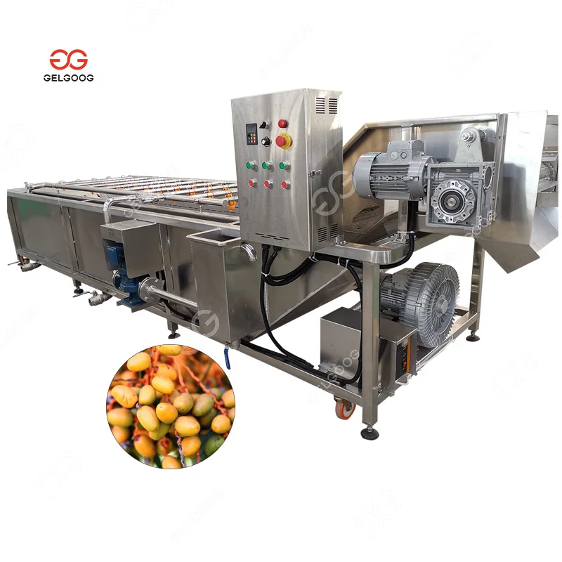 Snakefruit Washing and Sorting Processing Line Automatic Sorter Red Dates Palm Cleaning Machine