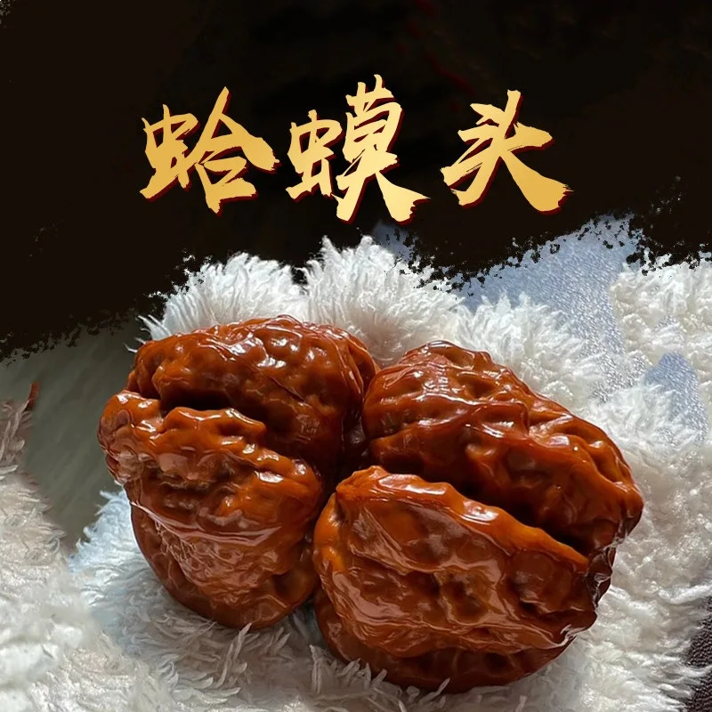 Antique Old Tree Yanqing Golden Toad Head for Collecting and Playing with