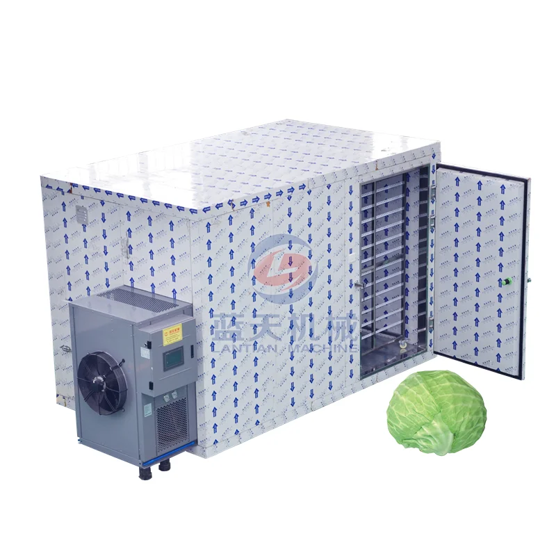 Fantastic dehydrator for cabbage lettuce vegetable food cabbage lettuce dryer machine