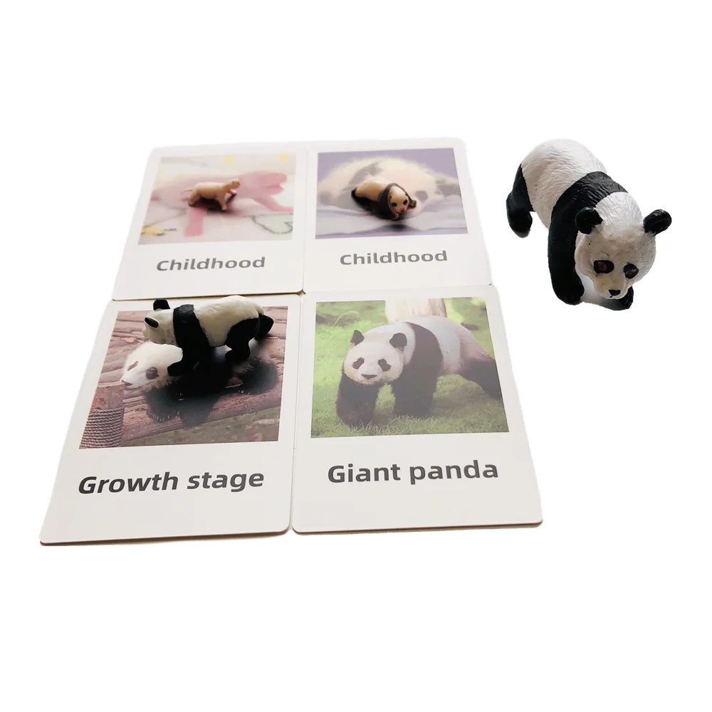 Materiais de biologia montessori, ciclo de vida do panda com cartões cognitivos, brinquedos de aprendizagem precoce, auxiliares de ensino pré-escolar, jogo educacional