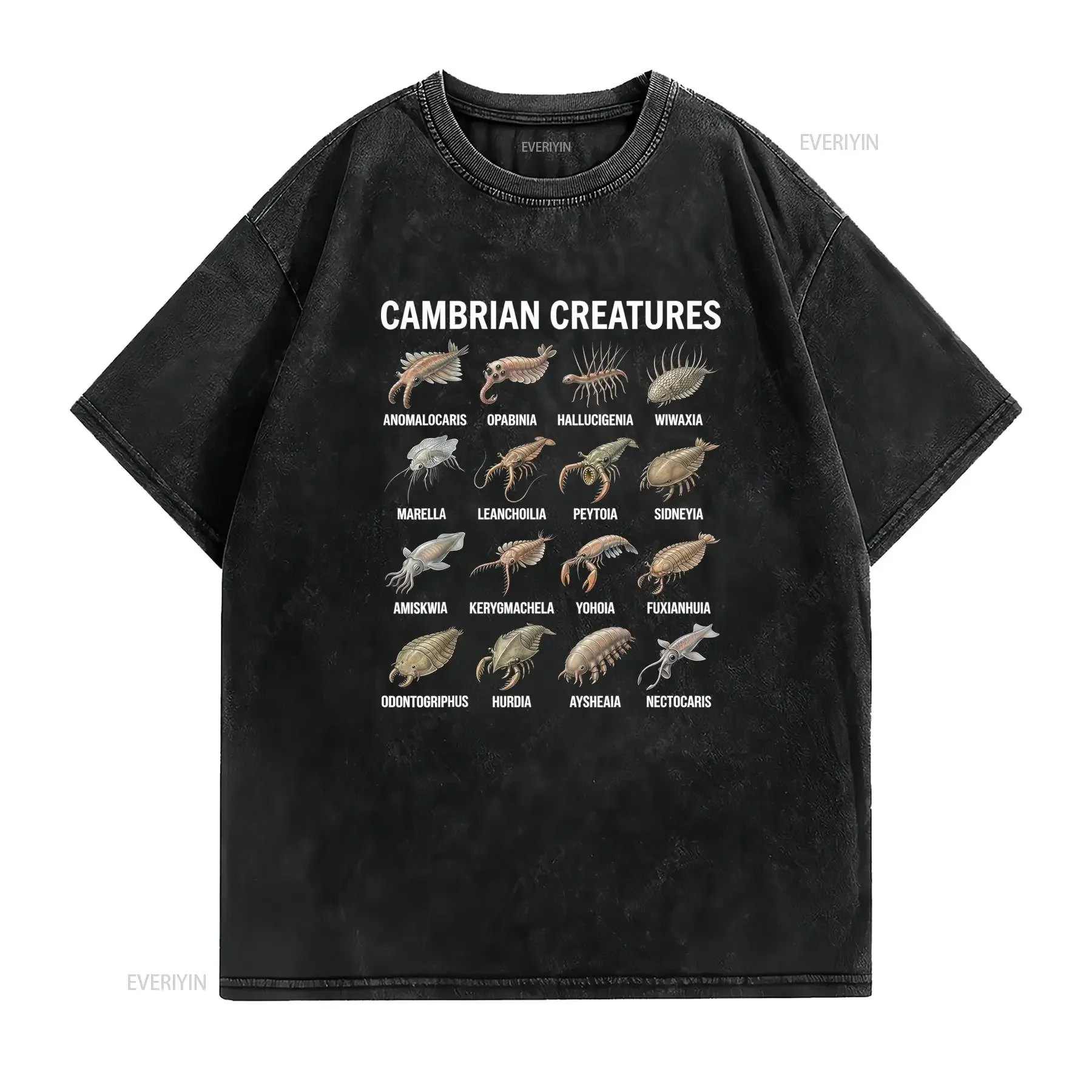 Cambrian Creatures Chart Prehistorische Leven Paleontologie T Shirt Casual Ronde Hals Lichte Stretch Stof Regular Fit vintage
