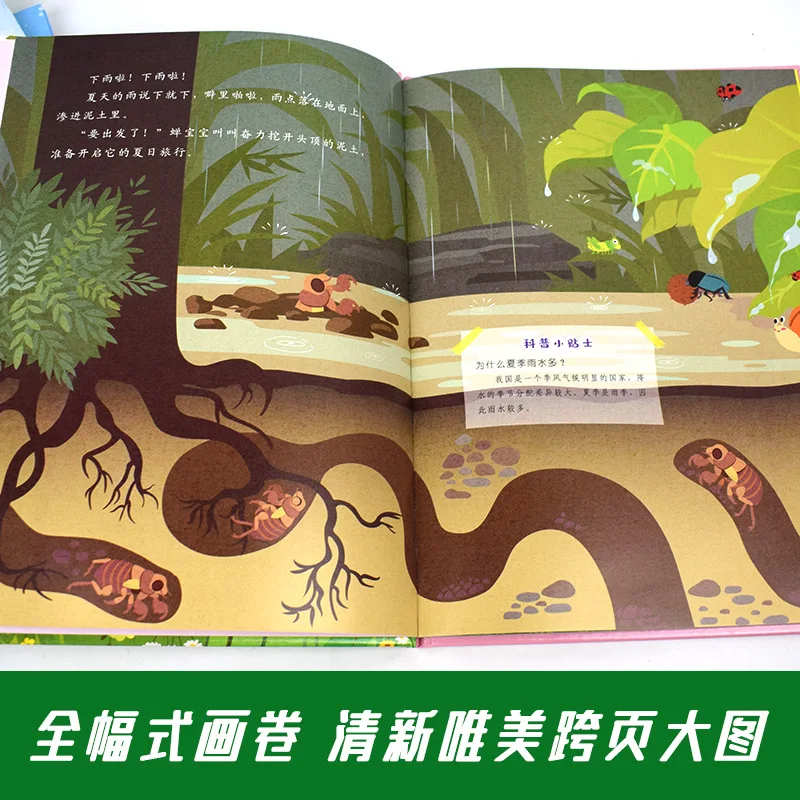 3-6 Year Old Baby Enlightenment Science Popularization Cognitive Picture Book, Seasonal Scenes, Kids' Hardcover Picture Book