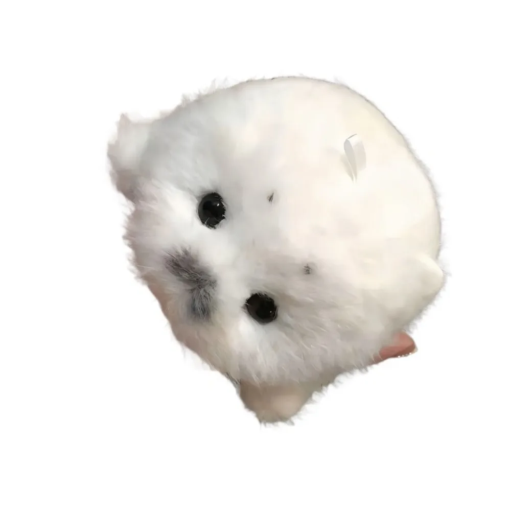 2 szt. Misiowe figurki fok, miękkie zawieszki w stylu kreskówkowym, uroczy design, dekoracja domu w stylu oceanu