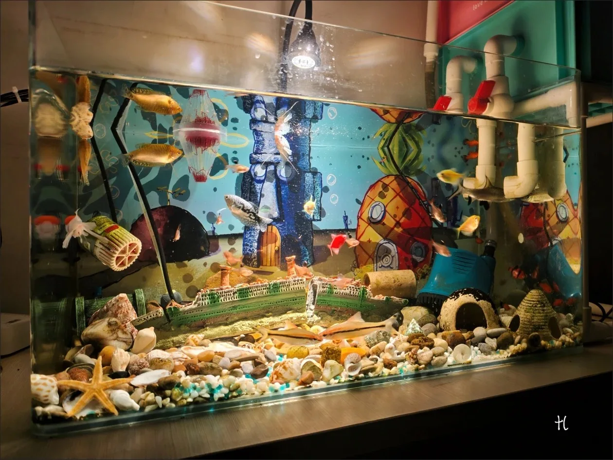 مجموعة أصداف المحيط المختلطة على شكل صدفة البحر، 30 قطعة بأحجام مختلفة صدف طبيعي ونجم البحر لديكور على الشاطئ، خزان الأسماك، الزفاف