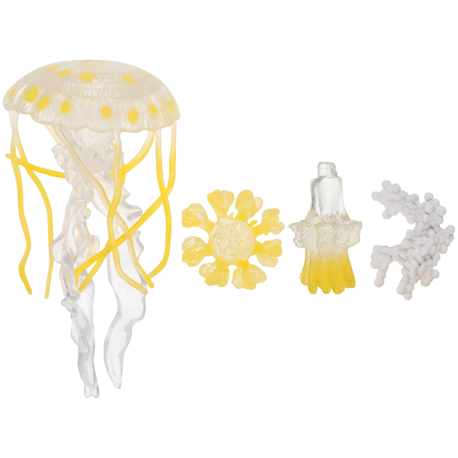 

1 set 1 Set Jellyfish Life Cycle Plastic Sea Animals Kit For Kids Learning Preschool Science Education Desktop Decoration Marine