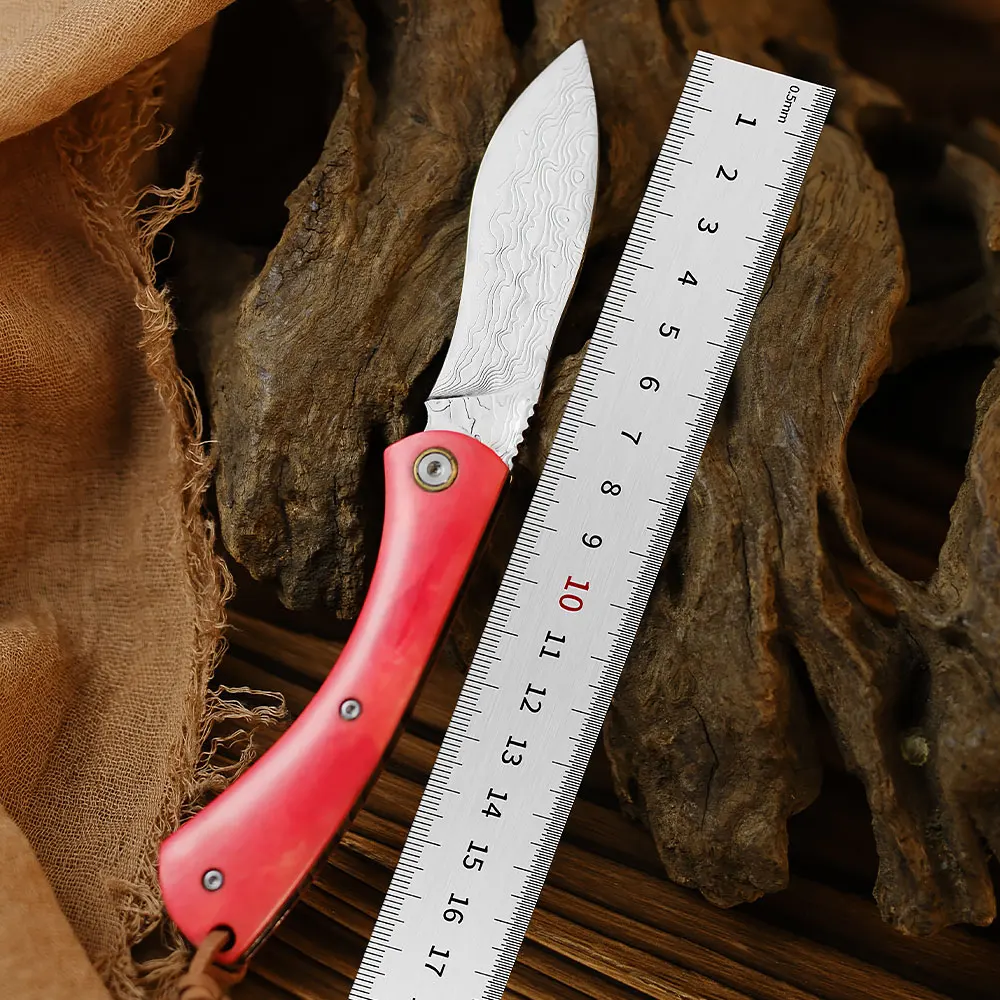 

Складной нож Home Collection Damascus: высокопрочный, портативный, для кемпинга