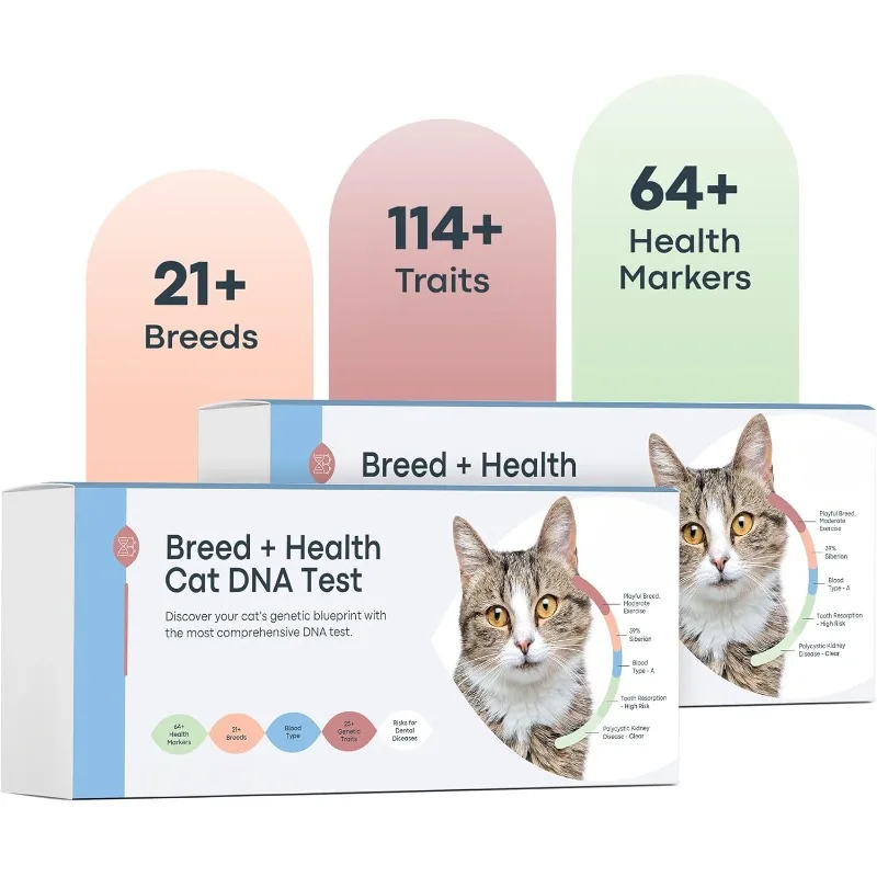 Cat DNA Test Kit 2 Pack- Comprehensive Breed, Health and Dental Analysis Across 114 Traits for Accurate and Easy-to-Use