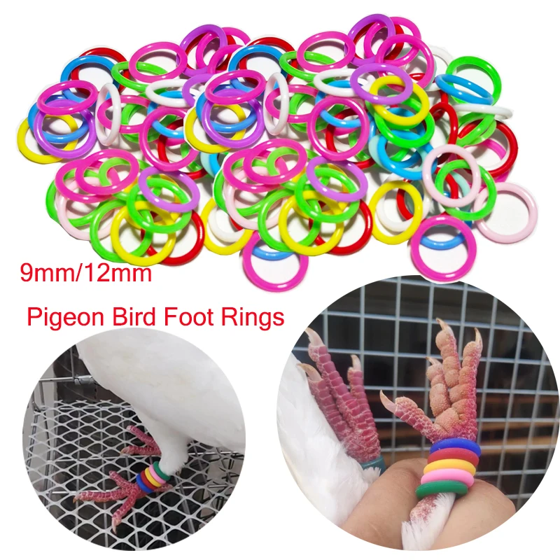 2025 New 100pcs Colorful Rubber Pigeons Marker Rings 9mm/12mm For Better Training Efficiency Bird Appliances