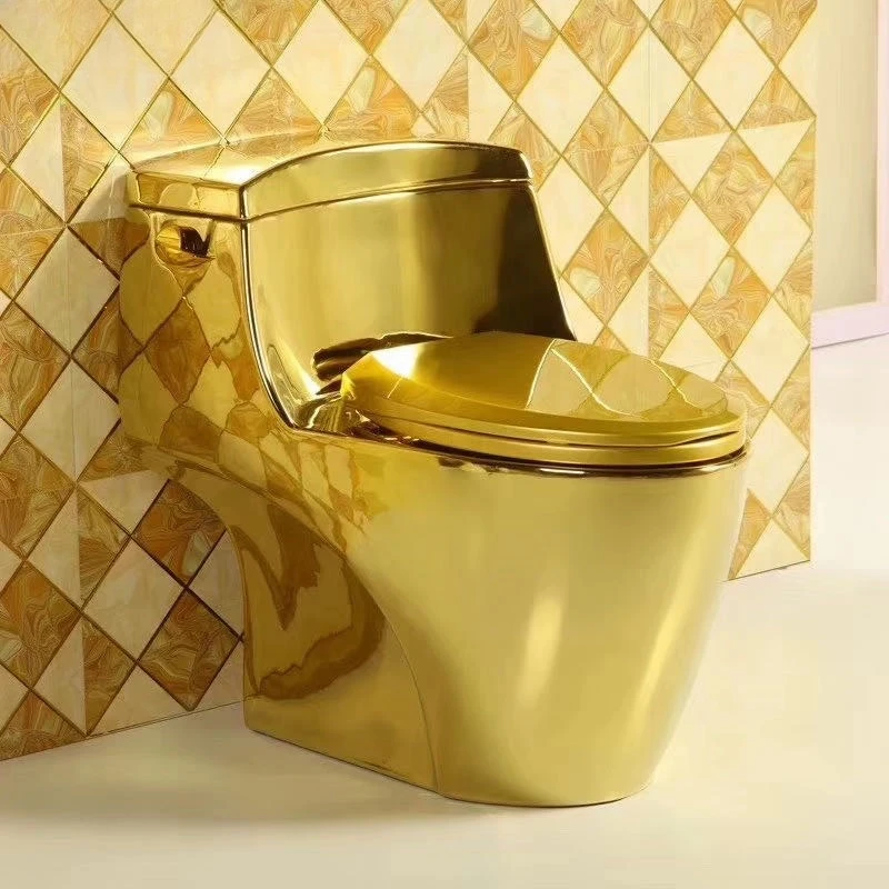 

All-gold toilet, personalized toilet, local tyrant siphon