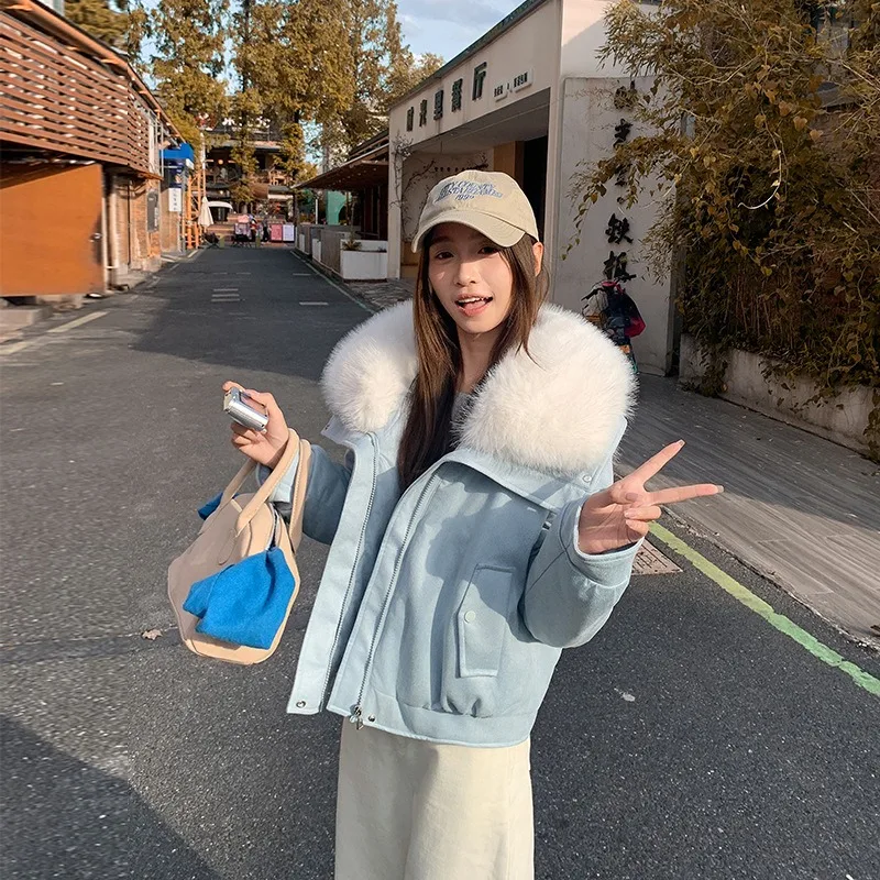 

Бархатное хлопковое пальто из оленьей кожи с большим меховым воротником, женское короткое стильное свободное темпераментное маленькое хлопковое пальто, зимняя пуховая хлопковая одежда