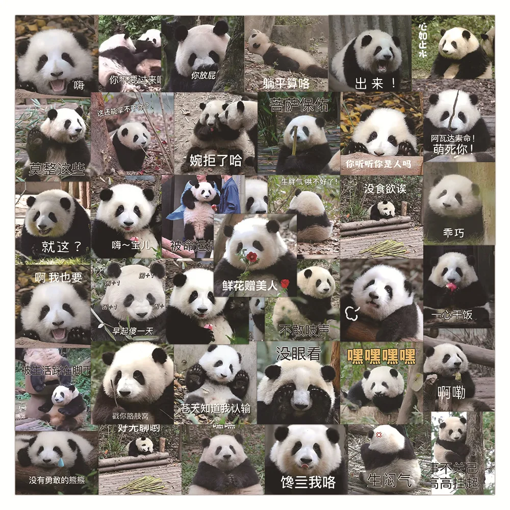 10/30/63PCS Panda Huahua Cartoon Cute Stickers Decal Decoration Suitcase Laptop Scrapbooking Phone Stationery Funny Kid Sticker