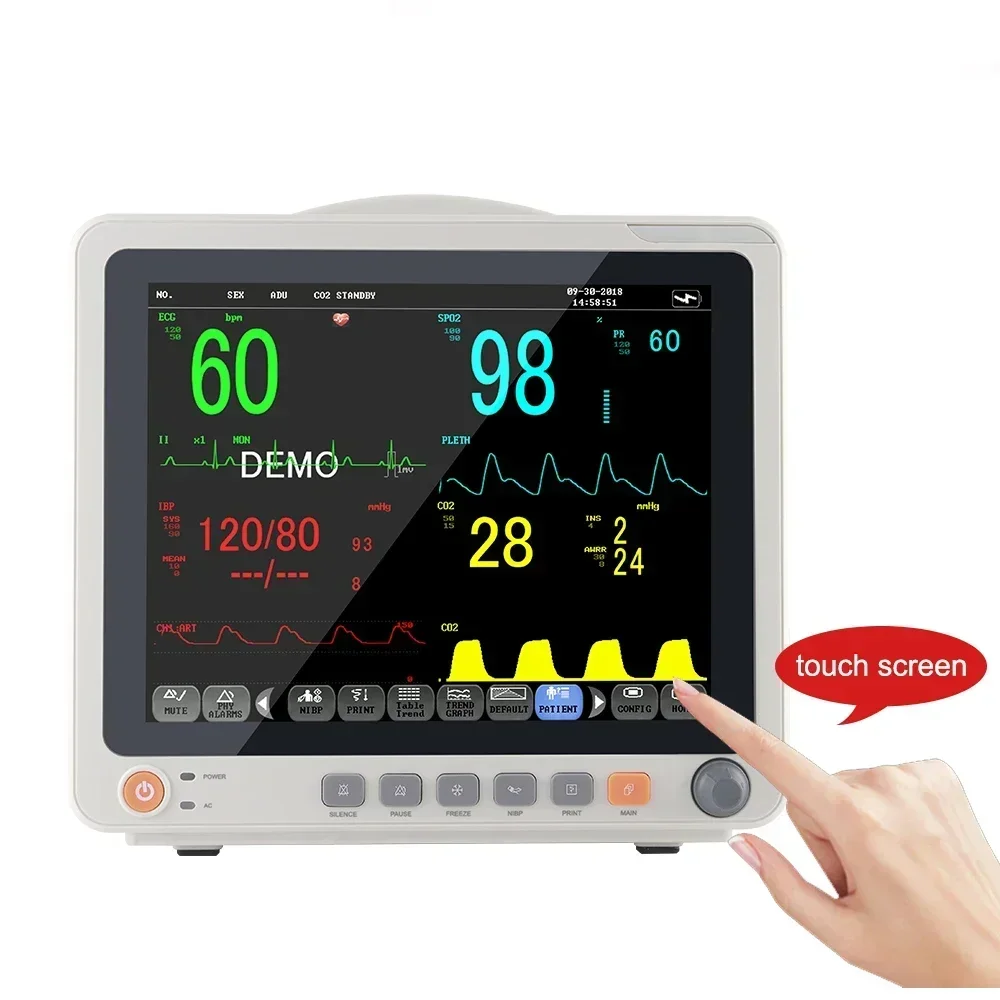 12 Inch Multi-parameter ECG monitor blood pressure testing Multi-parameter Veterinary Animals Monitor Hot sales