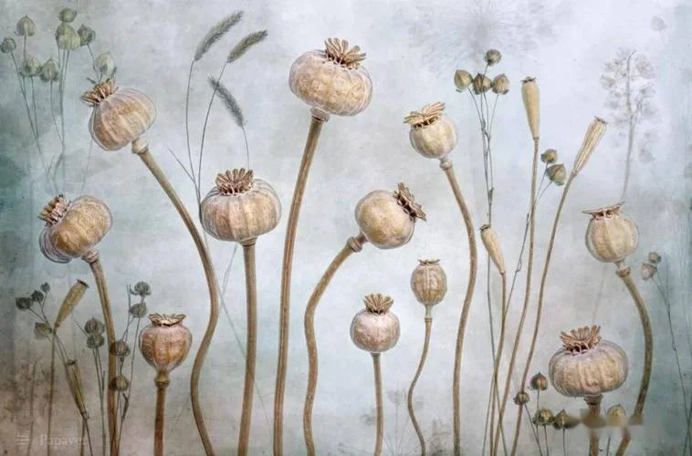 Op maat gemaakte fotobehang voor de woonkamer Bloemen- en vogelpruimenbehang 3D-behang papel de pared home decor - afbeelding 1